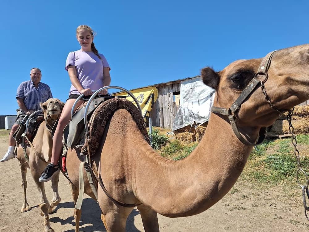 Camel Park Sunny Beach — 2