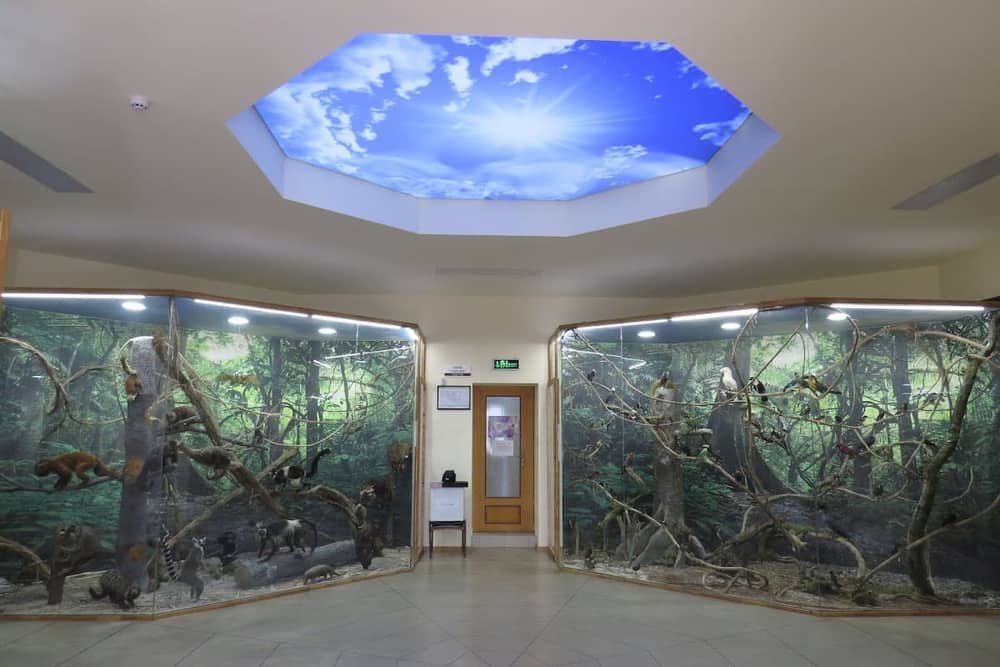 Museum of Natural Sciences