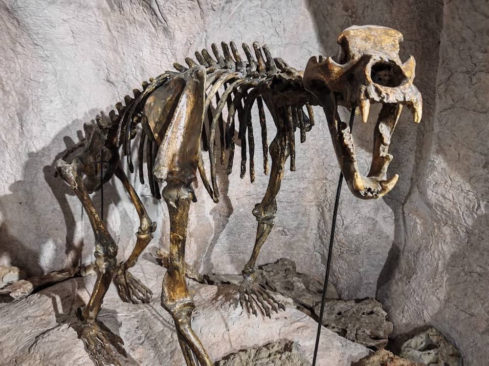 Museum of the Rhodope Karst — 2