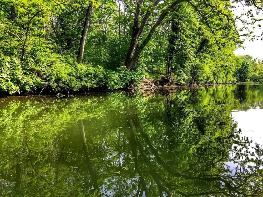 Ropotamo Nature Reserve