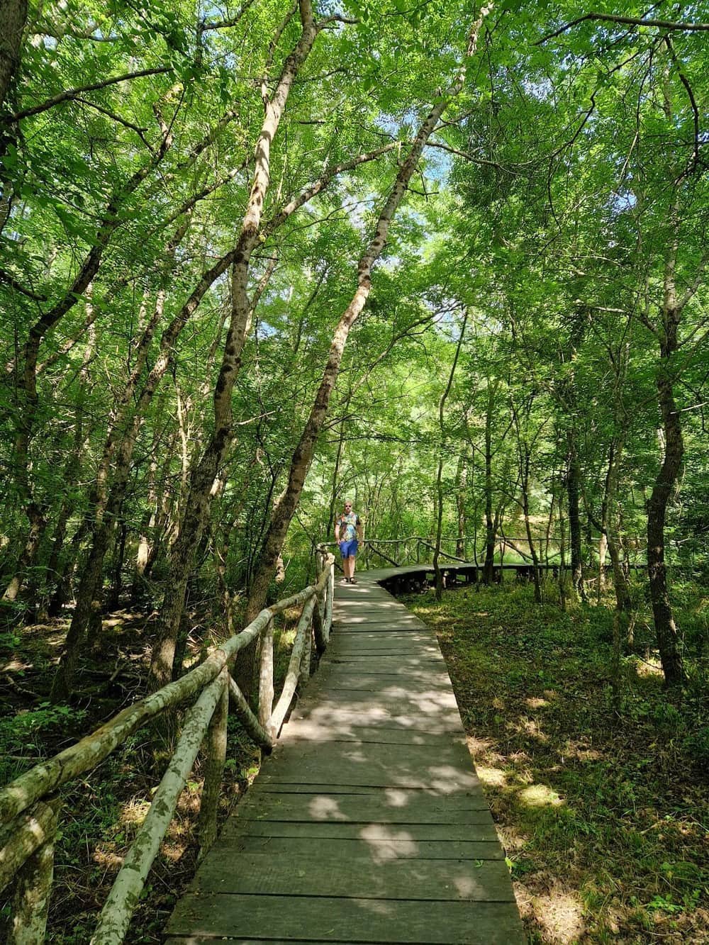Ropotamo Nature Reserve — 2