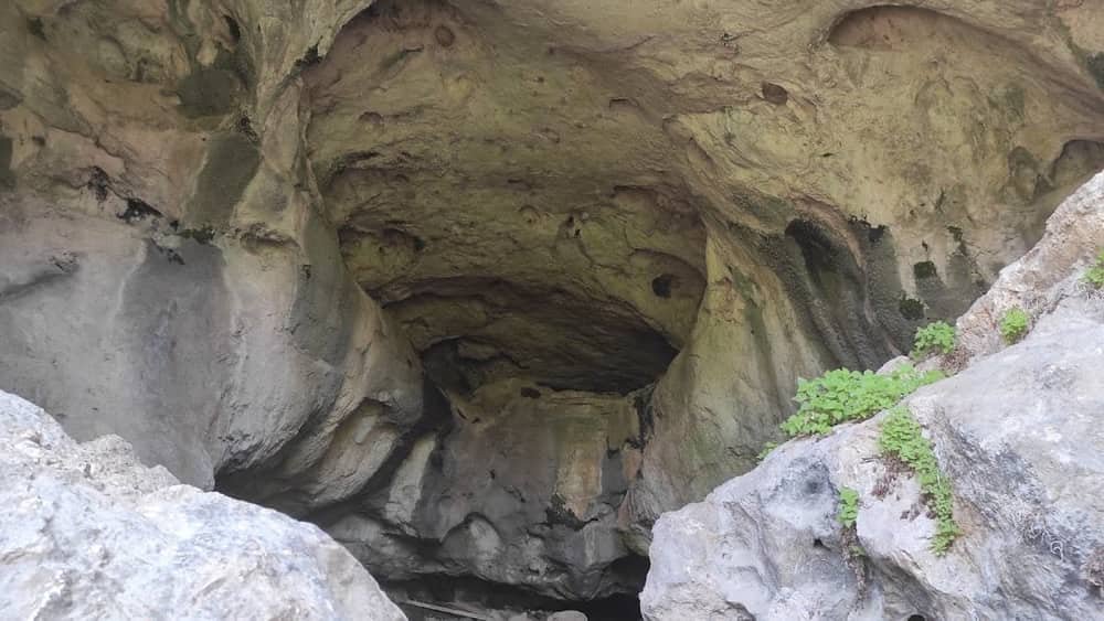 The Tree Cave of Botunya — 2
