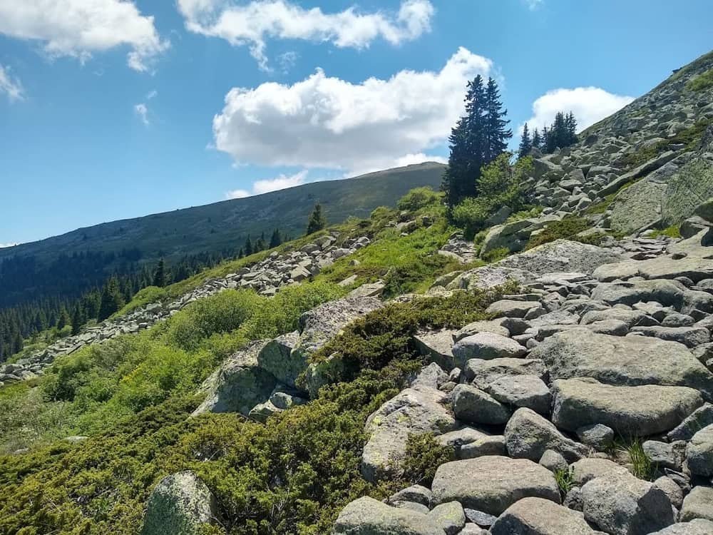 Vitosha Nature Park — 2