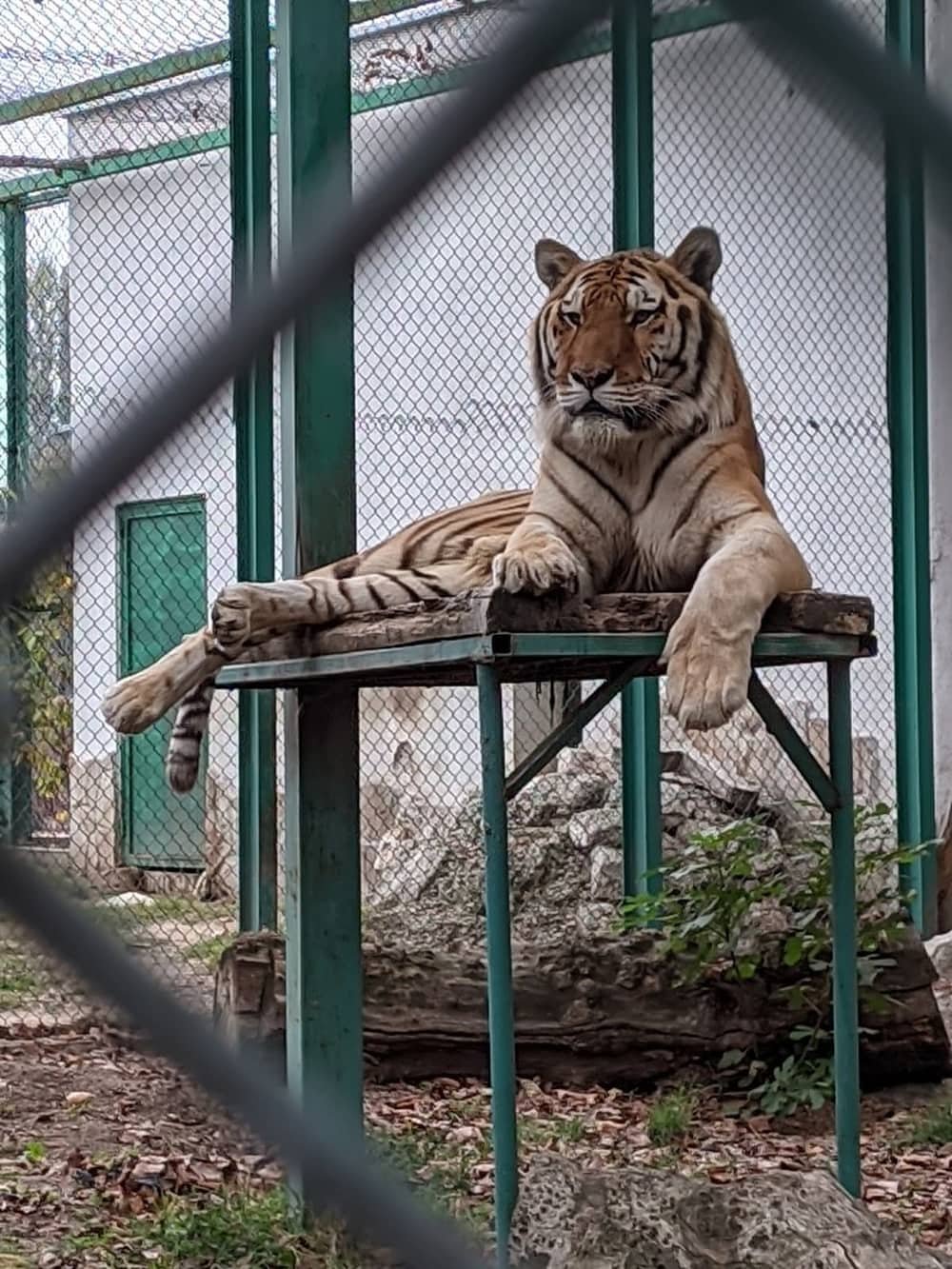 Zoo Pazardzhik