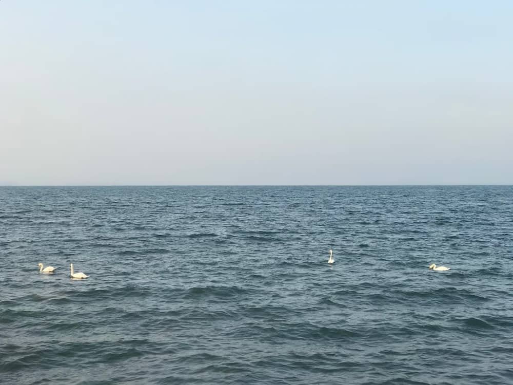 Central Beach Pomorie