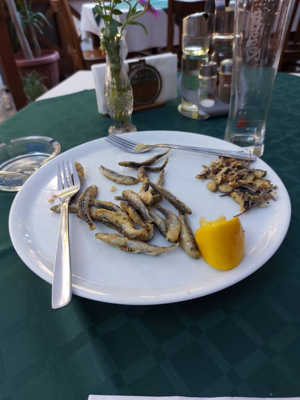 Restaurant "HAVANA" Golden Sands — 2